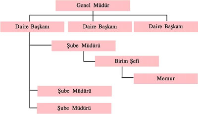 Yönetim Şeması