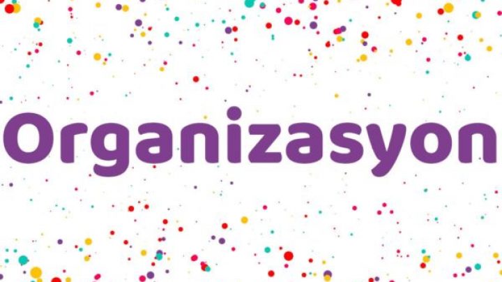 Organizasyon