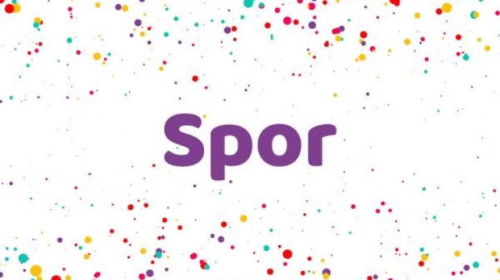 Spor